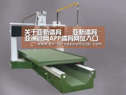 产品名称九
