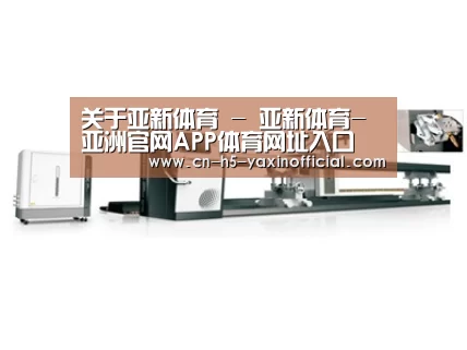 案例展示五