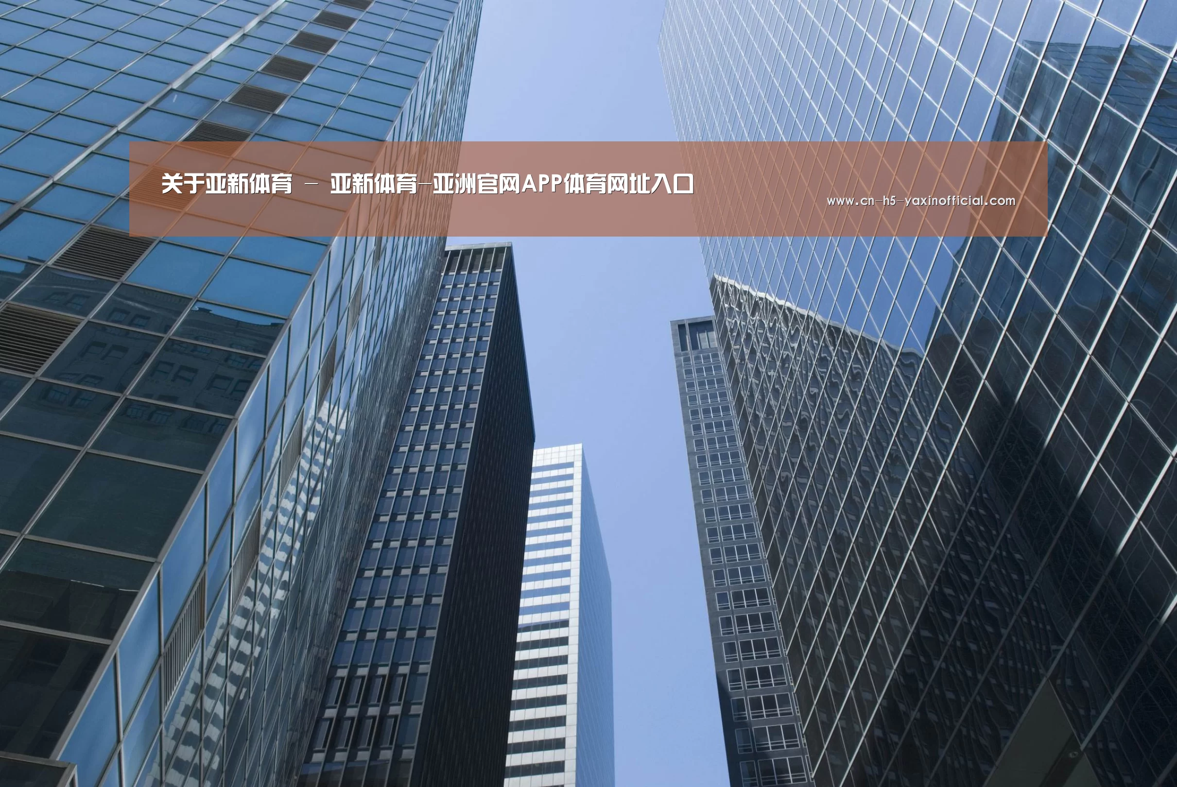 亚新体育App下载公司简介 