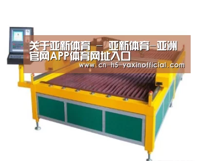 产品名称十九