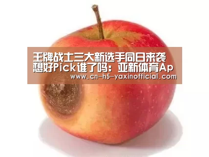  亚新体育手机应用