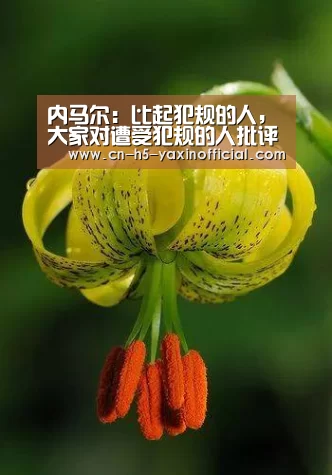 内马尔:比起犯规的人,大家对遭受犯规的人批评更多‘ 亚新体育手机应用’(图1) 亚新体育手机应用