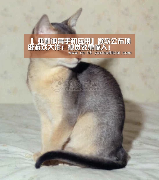 【 亚新体育手机应用】微软公布顶级游戏大作:视觉效果惊人!(图2) 亚新体育App下载